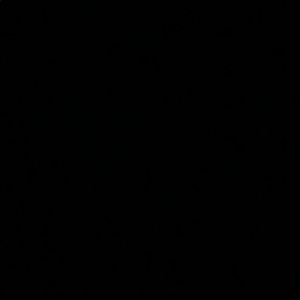 Meet your Posher, Ellie